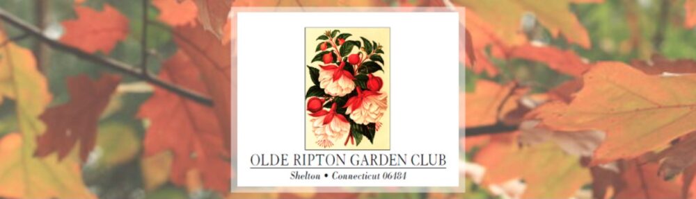 Olde Ripton Garden Club